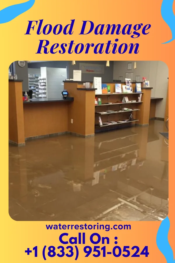 Flood Damage Restoration in Pearl, MS