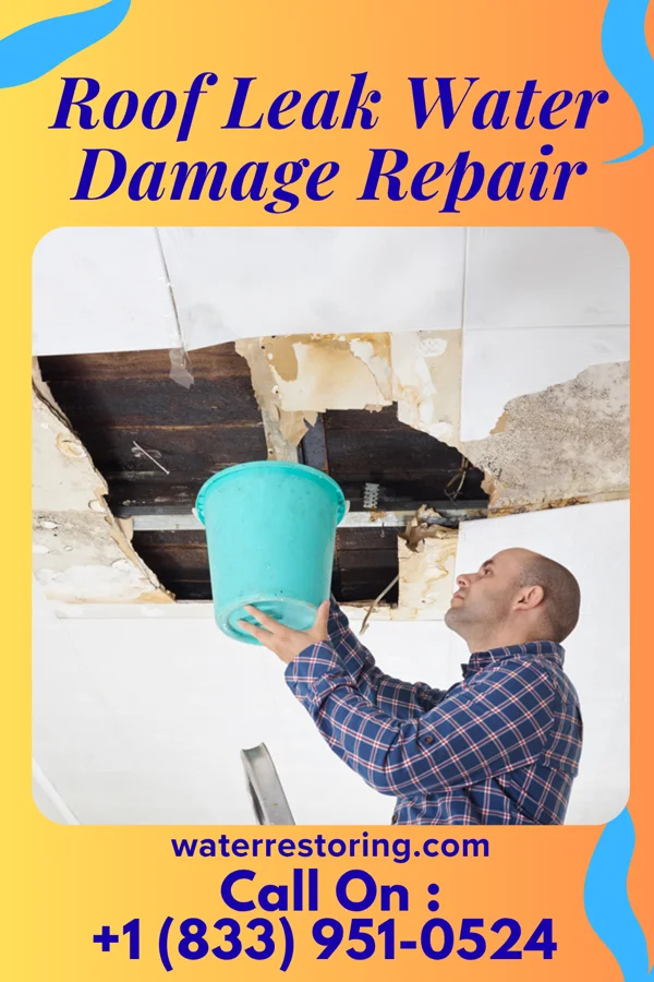 Roof Leak Water Damage Repair in Pearl, MS