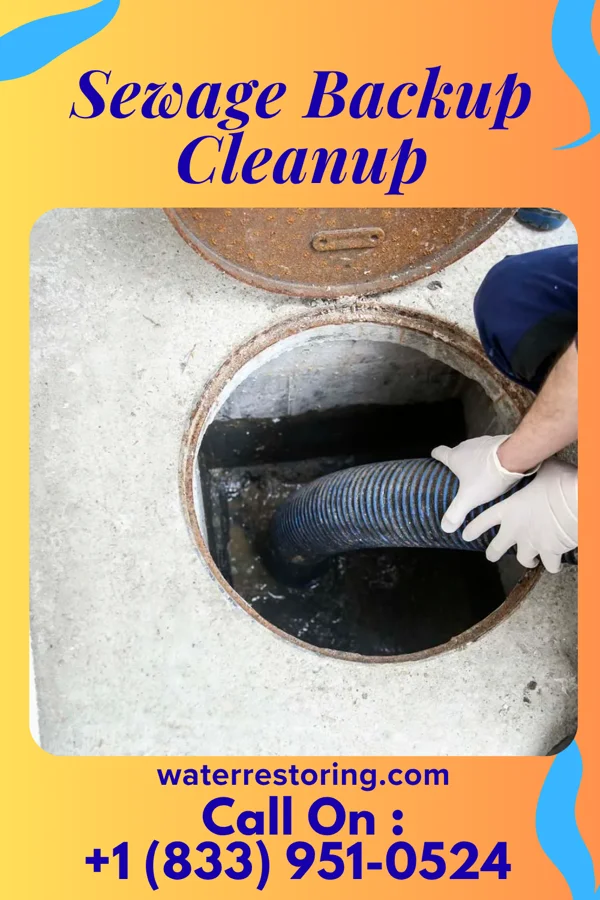 Sewage Backup Cleanup in Pearl, MS
